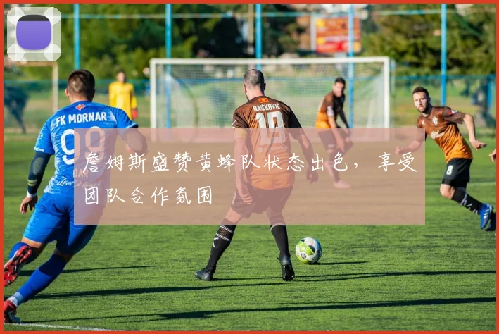 詹姆斯盛赞黄蜂队状态出色，享受团队合作氛围